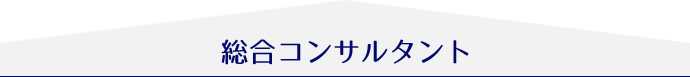 総合コンサルタント